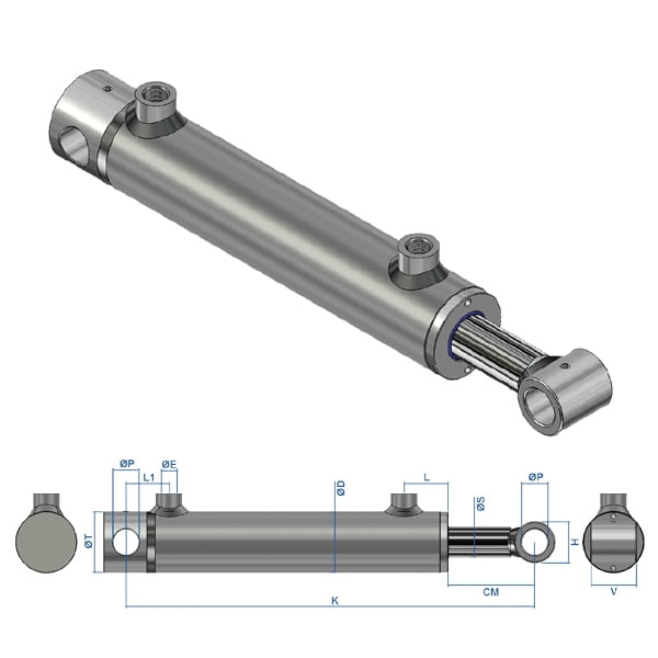 Pin Mounted Double/Single Acting Hydraulic Cylinder (bore/rod/stroke - 40x25x1000) - Image 2