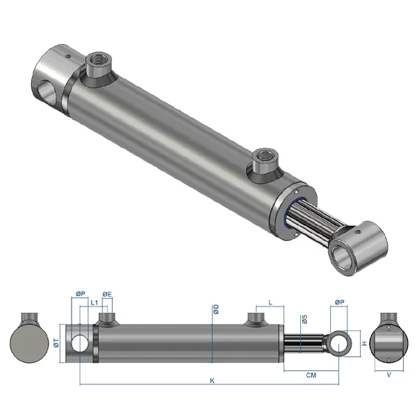 Pin Mounted Double/Single Acting Hydraulic Cylinder (bore/rod/stroke - 70x40x900) - Image 2